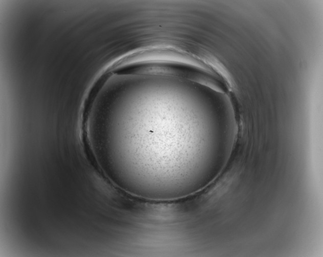 X0000088901020200706081302