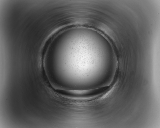 X0000088901021200706081302