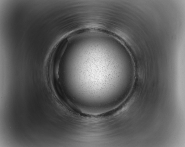 X0000088901022200706081302