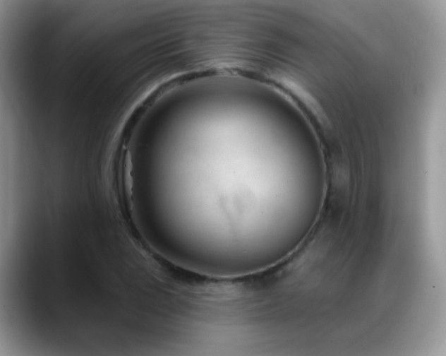 X0000088901023200706081302