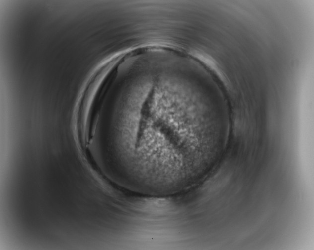 X0000088901024200706081302