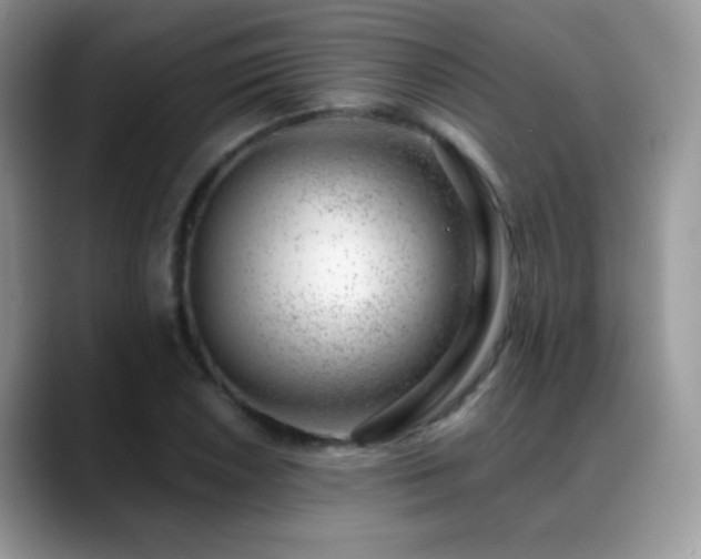 X0000088901026200706081302