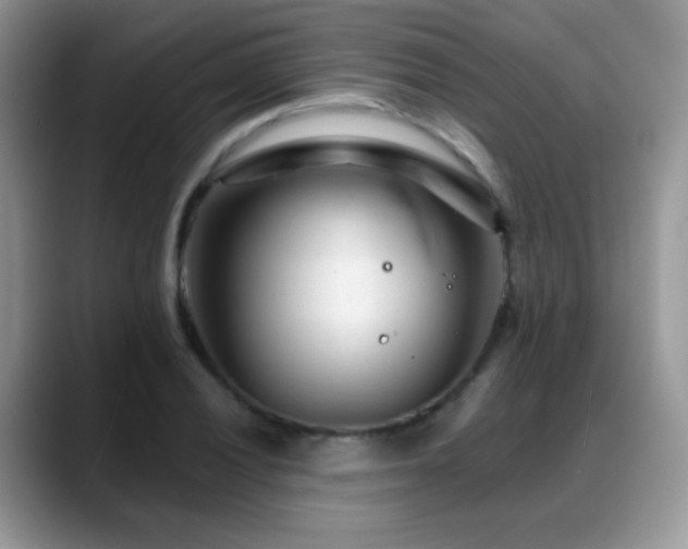 X0000088901028200706081302