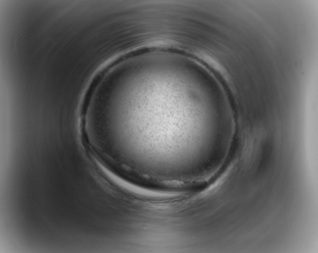 X0000088901029200706081302