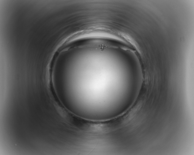 X0000088901031200706081302