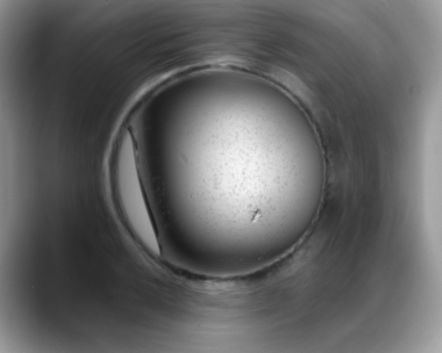 X0000088901032200706081302