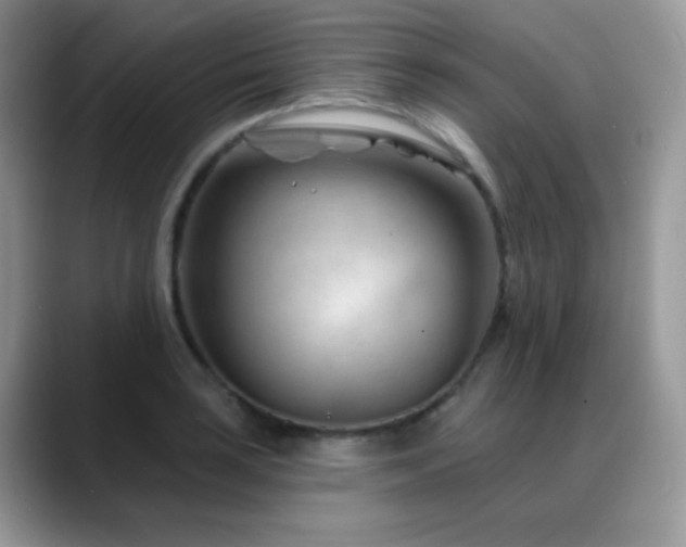 X0000088901035200706081302