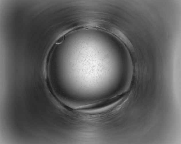 X0000088901036200706081302