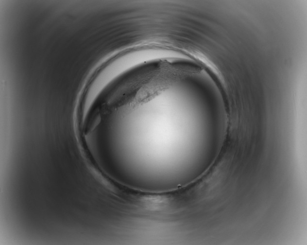 X0000088901037200706081302