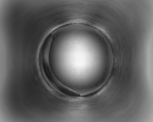 X0000088901038200706081302