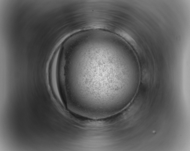 X0000088901039200706081302