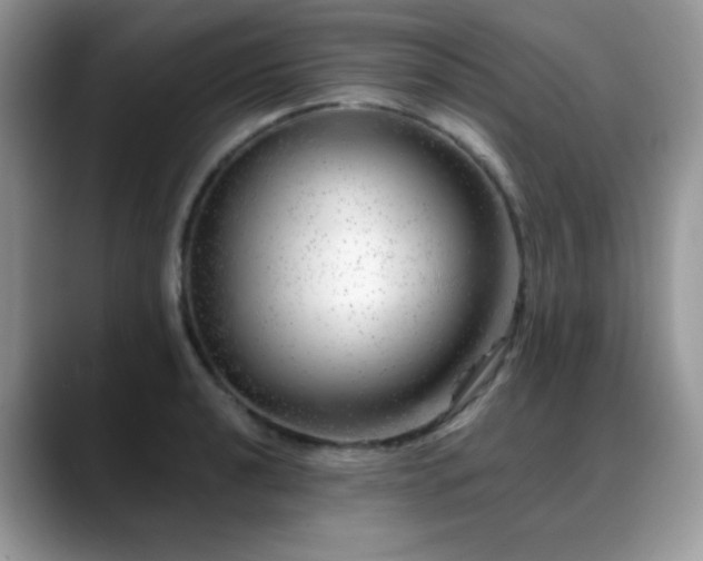 X0000088901040200706081302