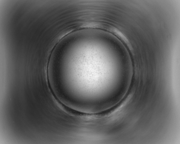 X0000088901041200706081302
