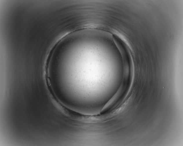 X0000088901042200706081302