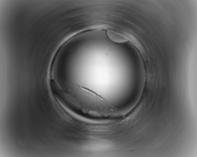 X0000088901044200706081302