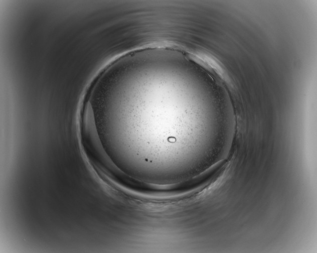 X0000088901046200706081302