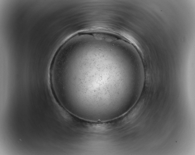 X0000088901047200706081302