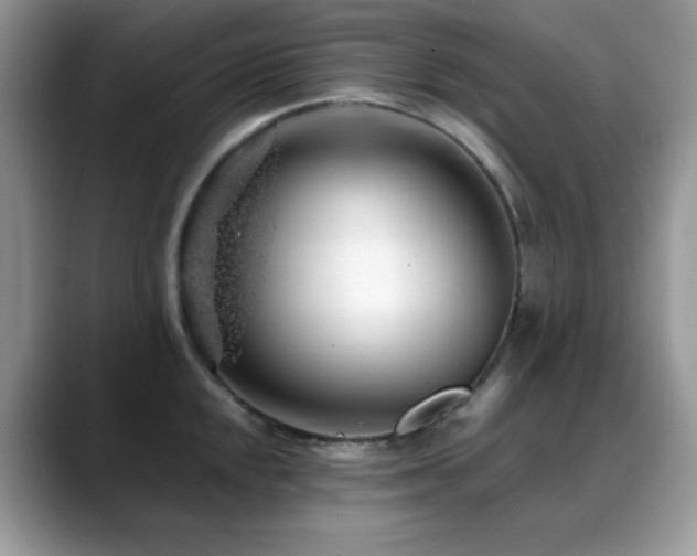 X0000088901048200706081302