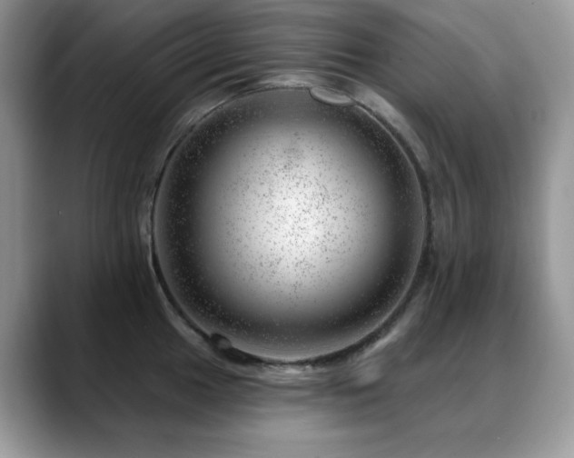X0000088901049200706081302