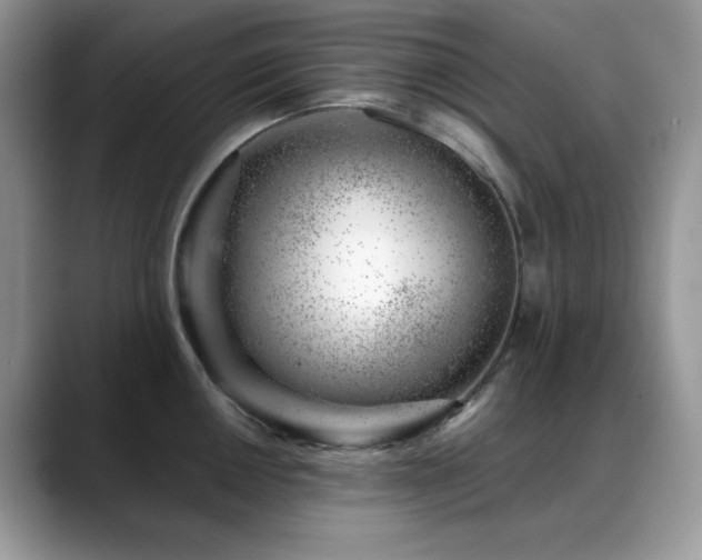 X0000088901050200706081302