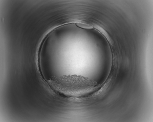 X0000088901051200706081302