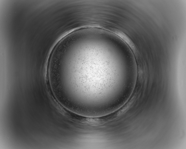 X0000088901052200706081302