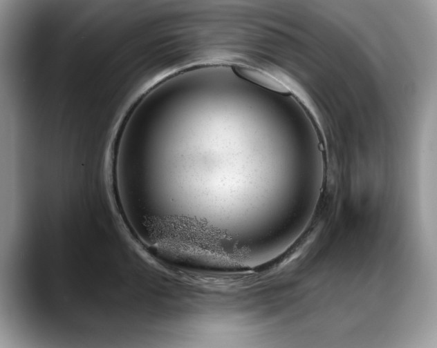 X0000088901053200706081302