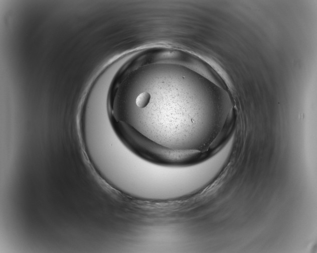 X0000088901054200706081302