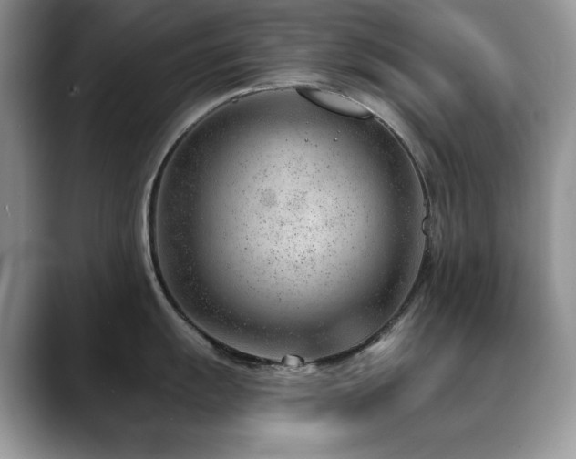 X0000088901055200706081302