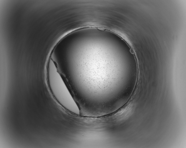 X0000088901056200706081302