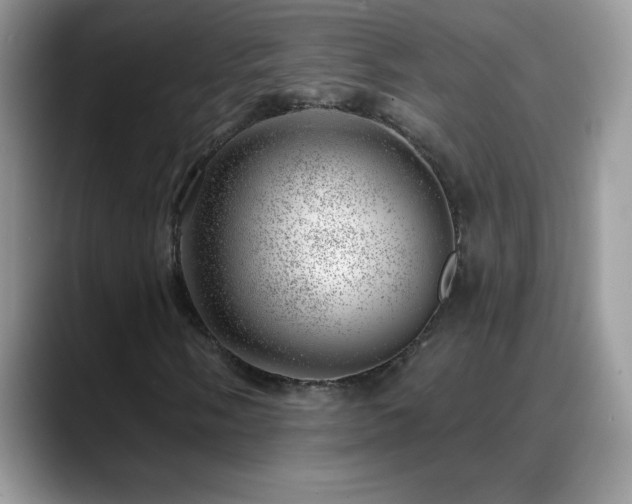X0000088901058200706081302