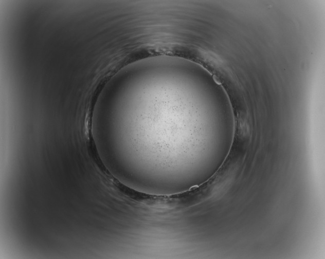 X0000088901060200706081302