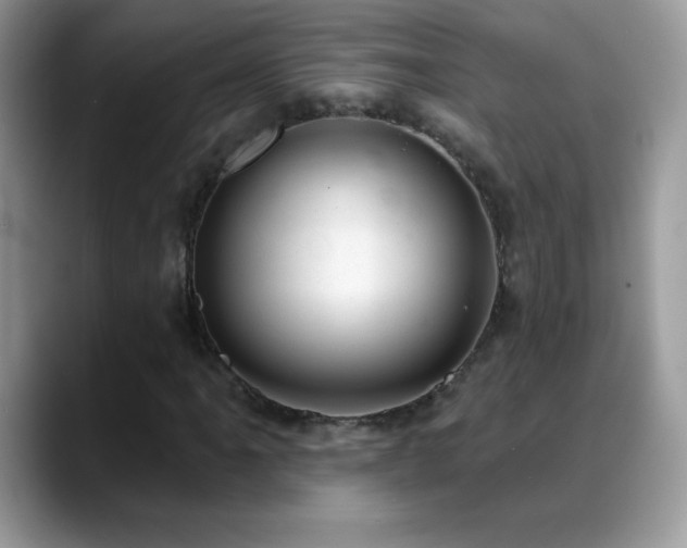 X0000088901061200706081302