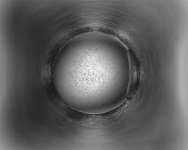 X0000088901062200706081302