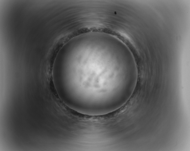 X0000088901063200706081302