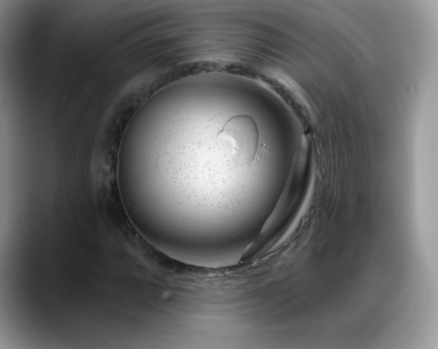 X0000088901064200706081302