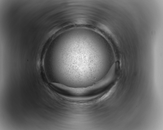 X0000088901065200706081302