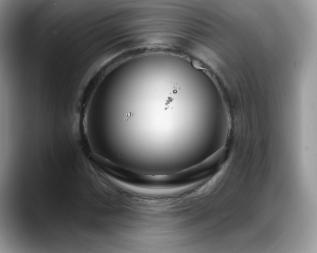 X0000088901066200706081302
