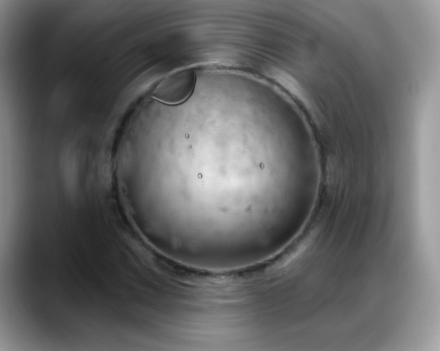 X0000088901067200706081302