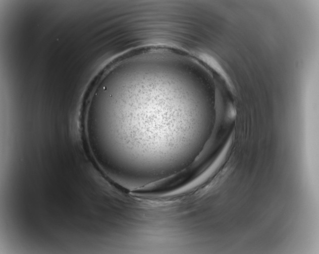 X0000088901068200706081302