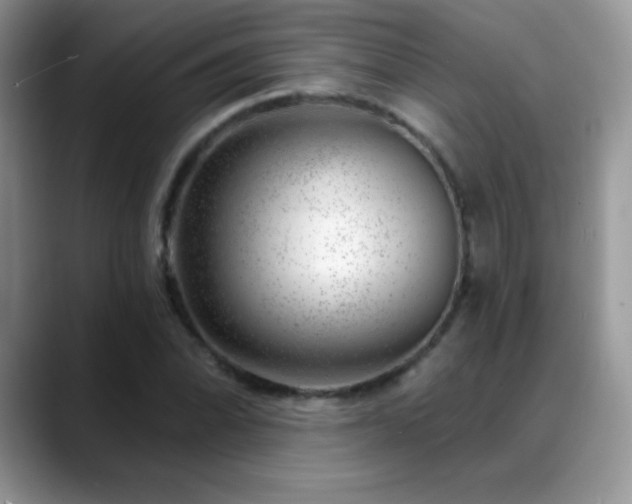 X0000088901070200706081302