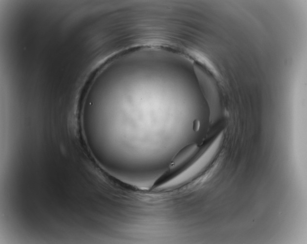 X0000088901071200706081302