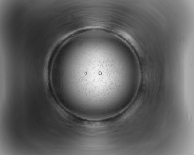 X0000088901072200706081302
