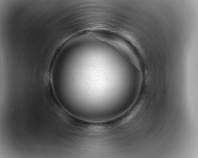X0000088901073200706081302
