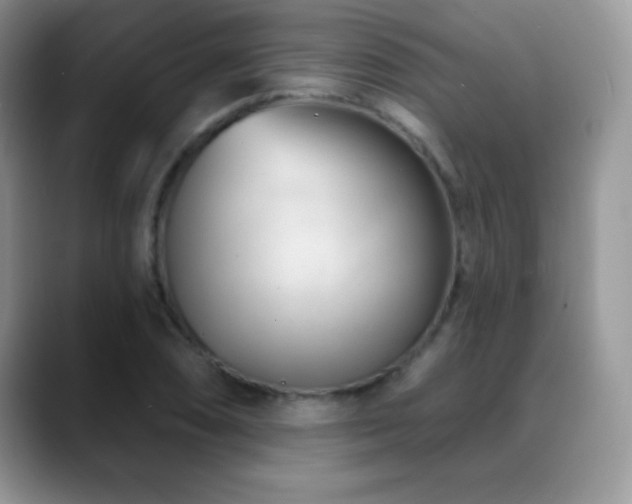 X0000088901074200706081302