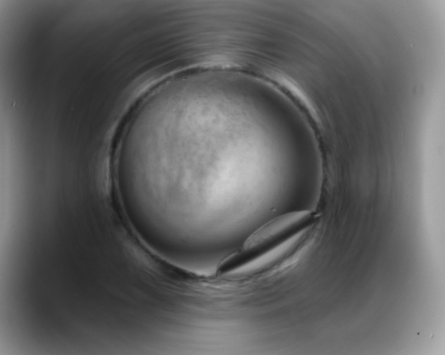 X0000088901075200706081302