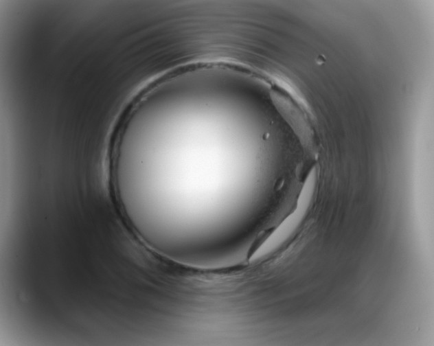 X0000088901076200706081302