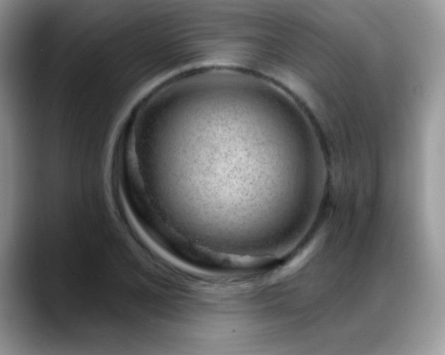 X0000088901077200706081302