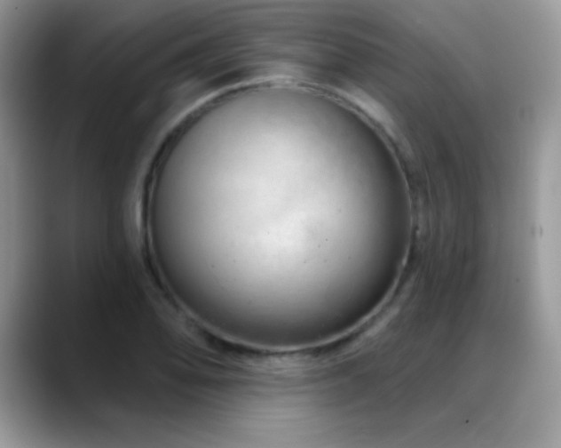 X0000088901078200706081301