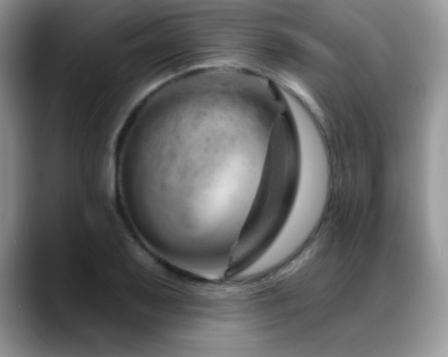 X0000088901079200706081301